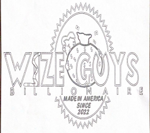 WIZE GUYS BILLIONAIRE MADE IN AMERICA SINCE 2022 logo