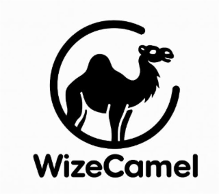 WIZECAMEL logo