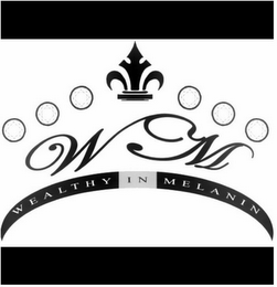 WM WEALTHY IN MELANIN logo