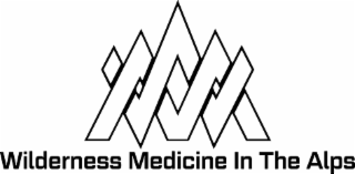 WM WILDERNESS MEDICINE IN THE ALPS