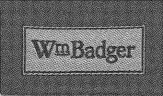 WMBADGER logo