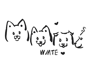 WMTE logo