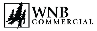 WNB COMMERCIAL logo