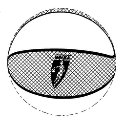 WNBA logo