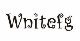 WNITEFG logo