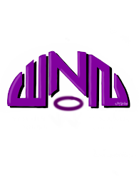 WNN WHY NOT NOW logo