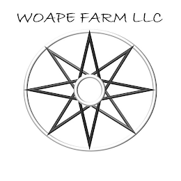 WOAPE FARM LLC logo