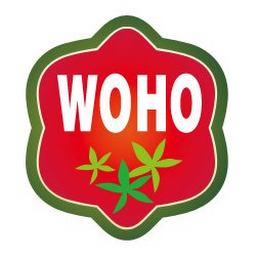 WOHO logo