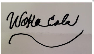 WOKA COLA logo