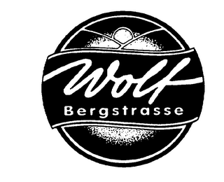 WOLF BERGSTRASSE logo