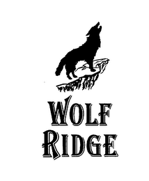 WOLF RIDGE logo