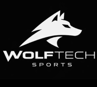 WOLFTECH SPORTS logo