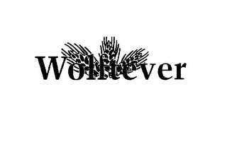 WOLFTEVER logo