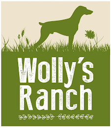 WOLLY'S RANCH logo