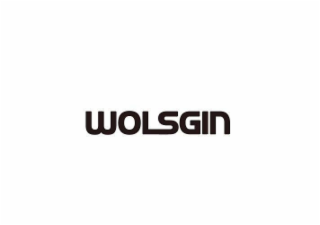WOLSGIN logo