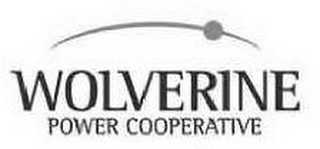WOLVERINE POWER COOPERATIVE logo