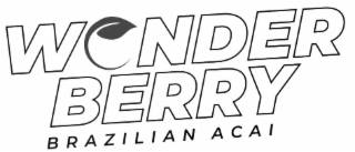 WONDER BERRY BRAZILIAN ACAI logo