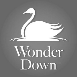 WONDER DOWN logo