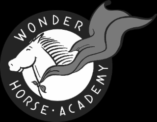 WONDER HORSE · ACADEMY logo