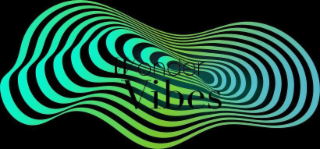 WONDER VIBES logo