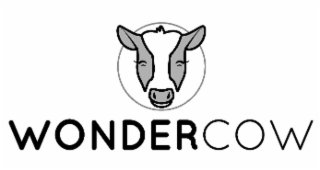 WONDERCOW logo