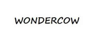 WONDERCOW logo