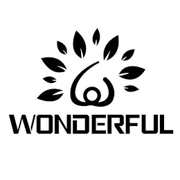 WONDERFUL logo