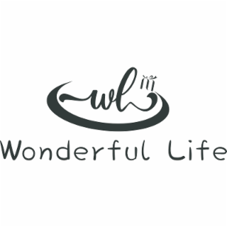 WONDERFUL LIFE logo