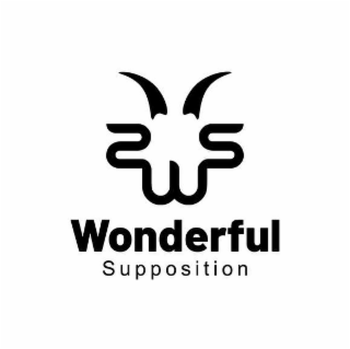 WONDERFUL SUPPOSITION logo