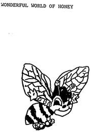 WONDERFUL WORLD OF HONEY logo