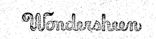 WONDERSHEEN logo