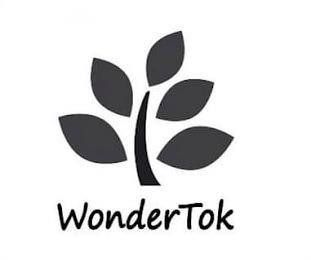WONDERTOK logo