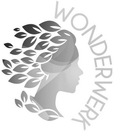 WONDERWERK logo