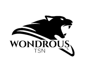 WONDROUS TSN logo