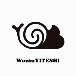 WONIUYITESHI logo