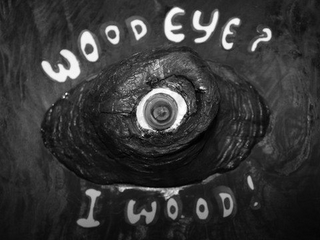 WOOD EYE? I WOOD! logo