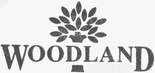 WOODLAND logo
