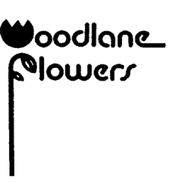 WOODLANE FLOWERS logo