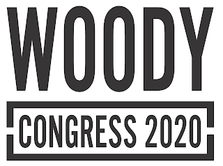 WOODY FOR CONGRESS IN THE YEAR 2020 logo