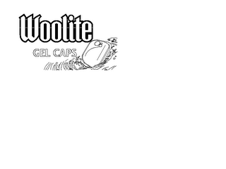 WOOLITE GEL CAPS logo