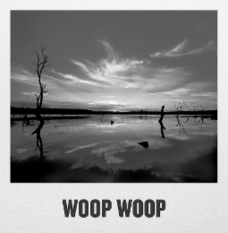 WOOP WOOP logo