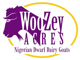 WOOZEY ACRES NIGERIAN DWARF DAIRY GOATS logo