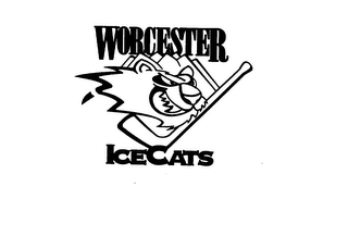 WORCESTER ICE CATS logo