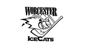 WORCESTER ICECATS logo