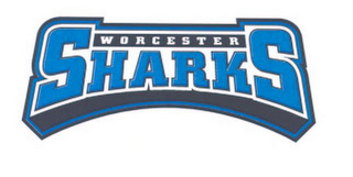 WORCESTER SHARKS logo