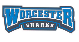 WORCESTER SHARKS logo