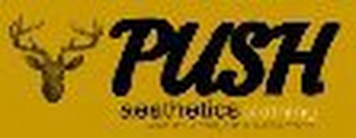 WORD PUSH AESTHETICS [MANY FACES, ONE REFLECTION] logo