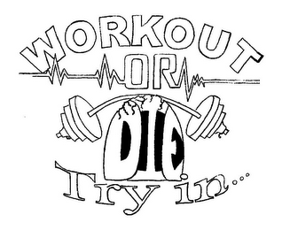 WORK OUT OR DIE TRYIN... logo
