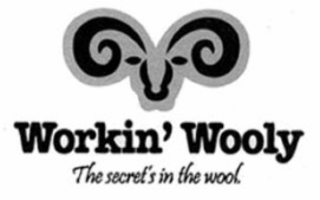 WORKIN' WOOLY THE SECRET'S IN THE WOOL