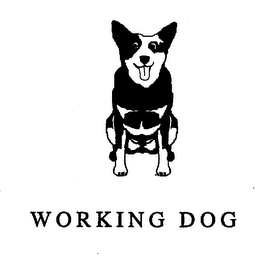 WORKING DOG logo